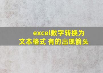 excel数字转换为文本格式 有的出现箭头